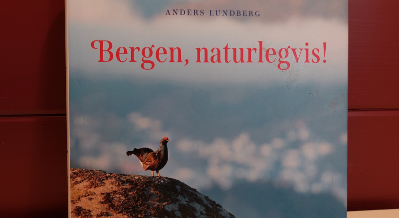 Bergen, naturlegvis - naturmangfold i byen