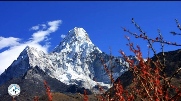 Monica Carter – Eventyr og høydefornemmelse!