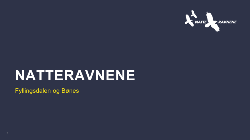Natteravnene i Fyllingsdalen og Bønes